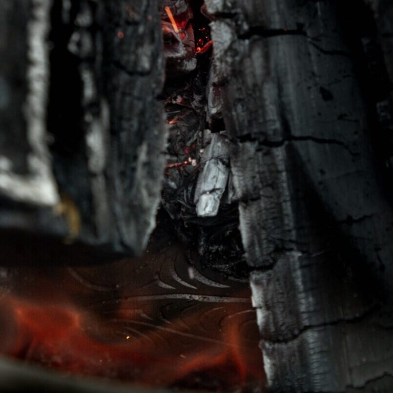 From the Ashes - promo image